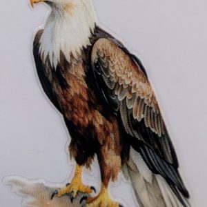 Eagle