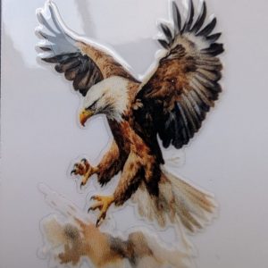Eagle in Flight
