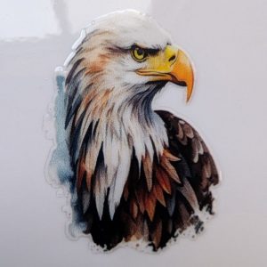 Eagle Head