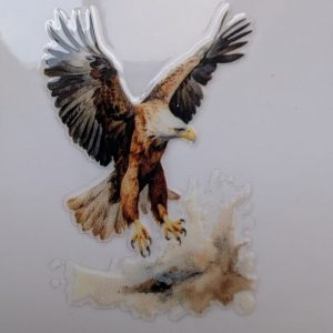 Eagle Flying (right)