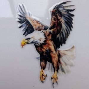 Eagle Flying (left)