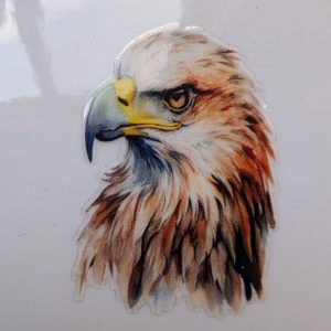 Eagle Head Looking Left
