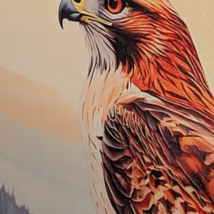 Red Tailed Hawk: Original Acrylic Painting on Canvas